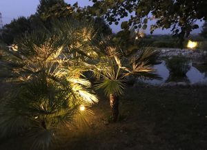 Faretti LED da Esterno Palme