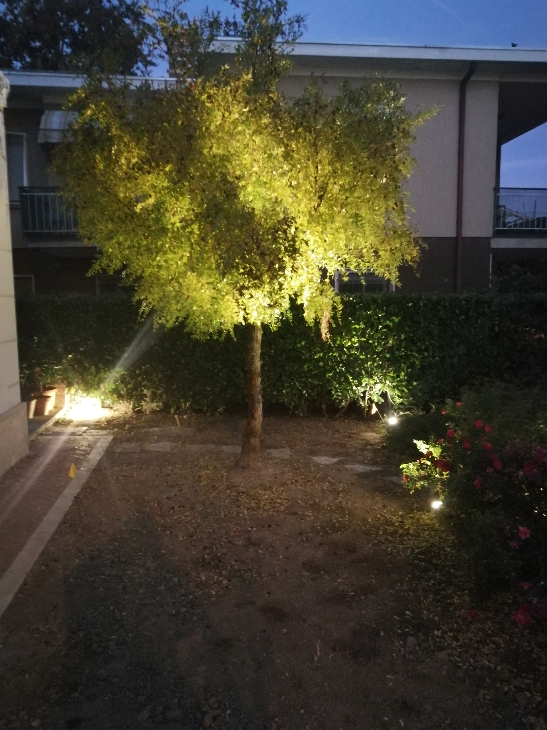 Illuminazione Alberi Tronco e Chioma