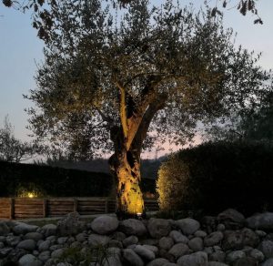 Faretti a Picchetto LED Illuminazione Ulivo
