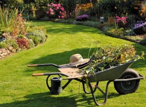 Esempio Manutenzione Giardino