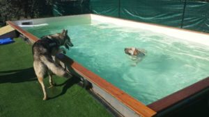 Piscina Fuori Terra