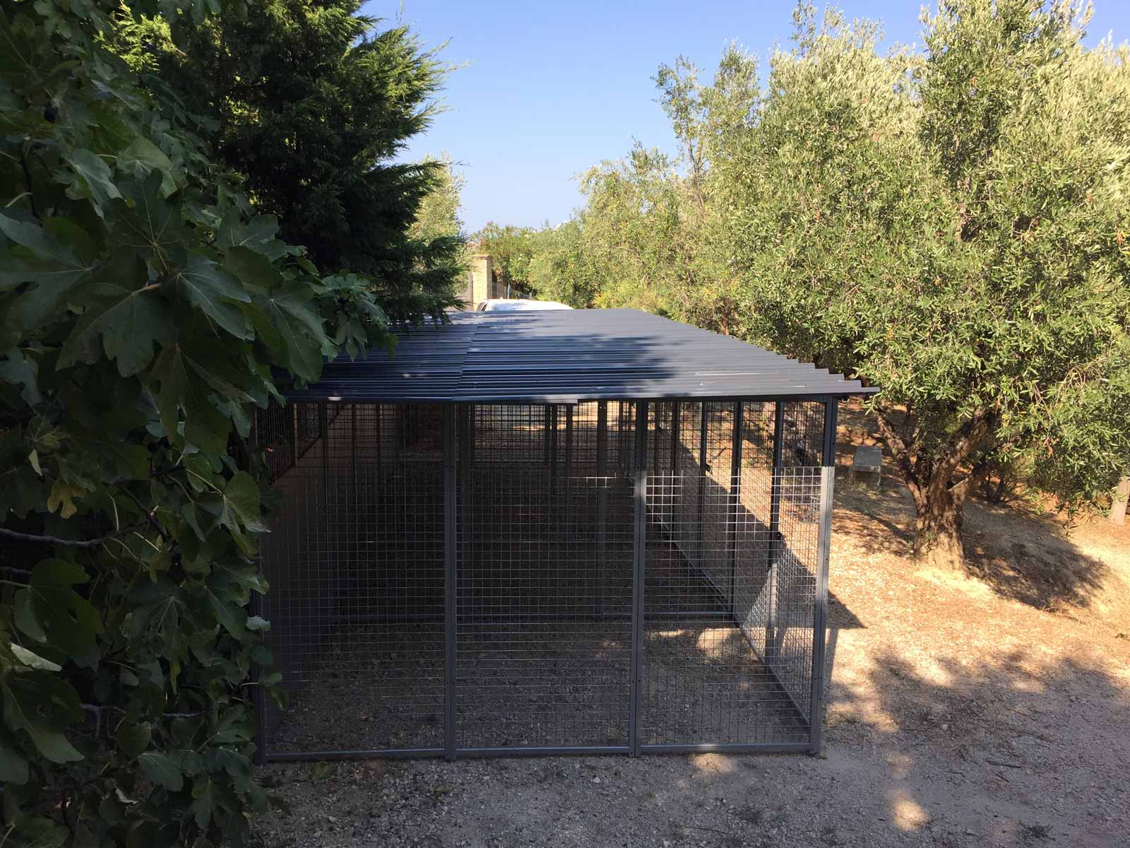 box per cani taglia grande esterno